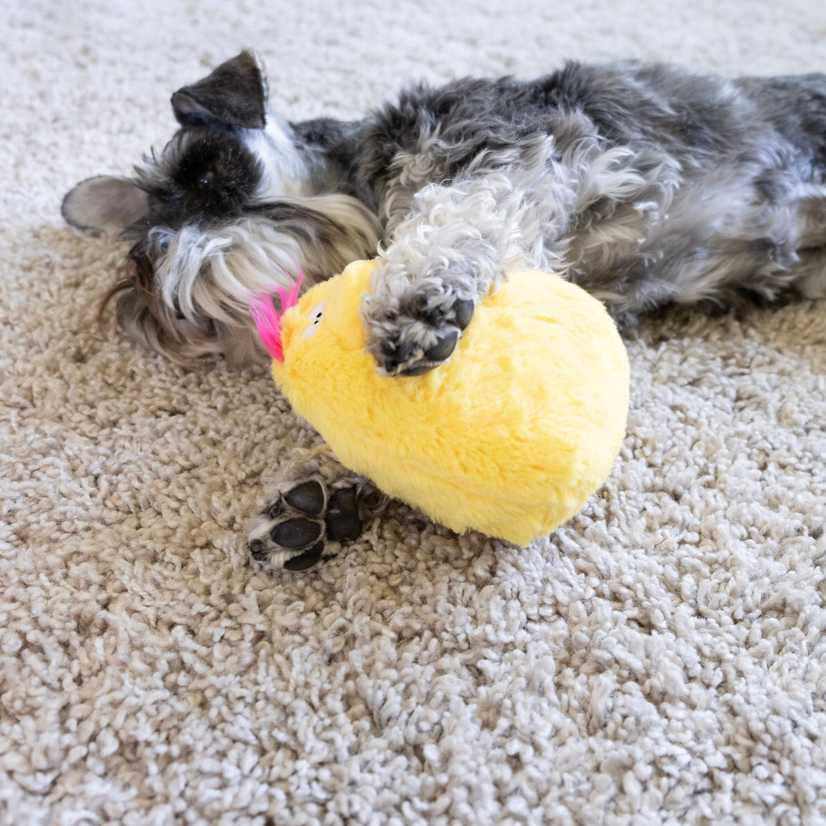 Fun Dog Toy by DogGoods™