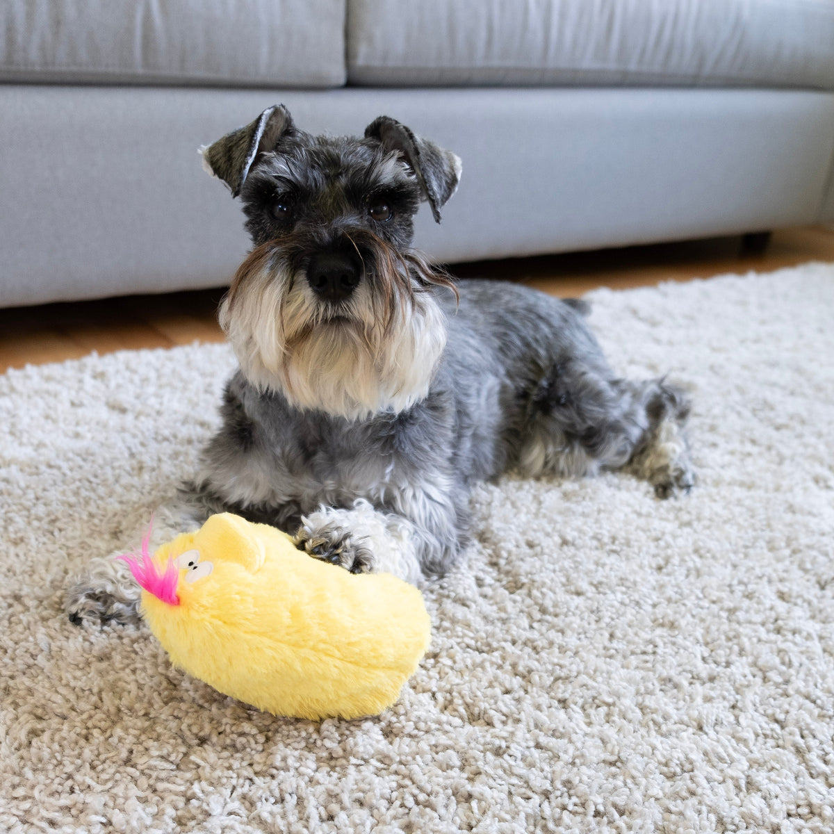 Fun Dog Toy by DogGoods™
