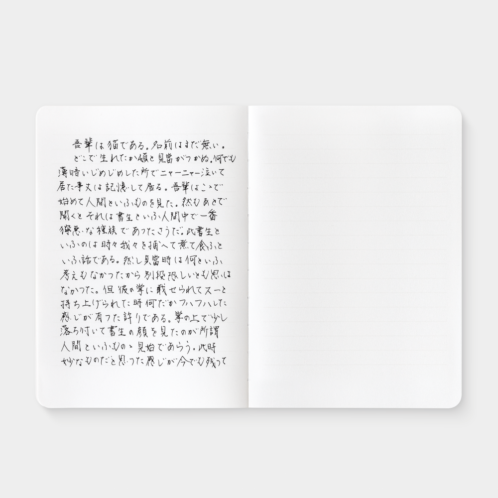 Information Architects - Watermarked Notebook For Writers