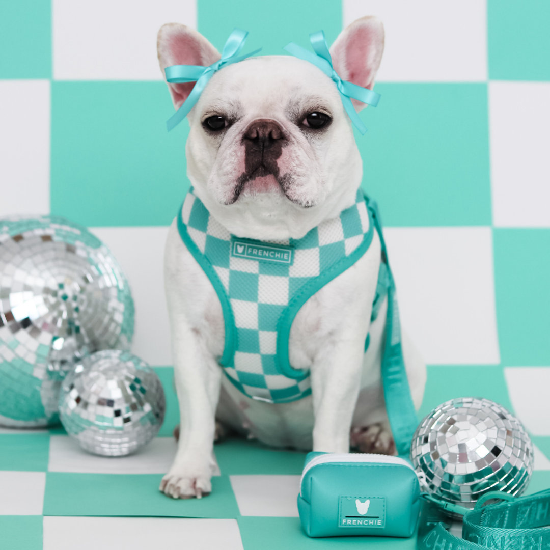 Frenchie Poo Bag Holder - Solid Aqua