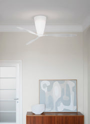 Blow Ceiling Fan Body