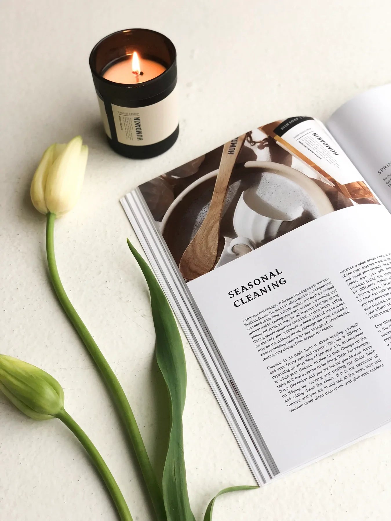 The Art of Organizing, Cleaning and Styling