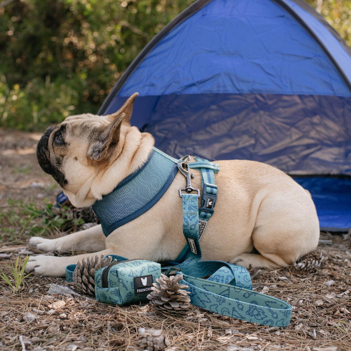 Frenchie Duo Reversible Harness - Camp Frenchie