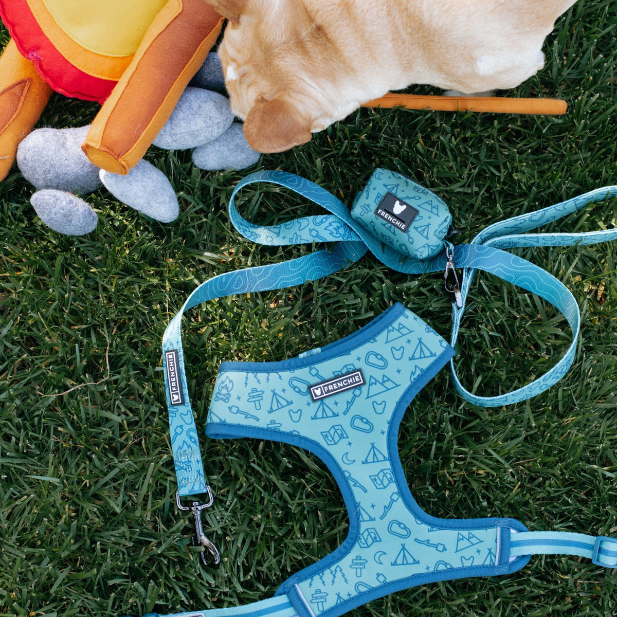Frenchie Duo Reversible Harness - Camp Frenchie