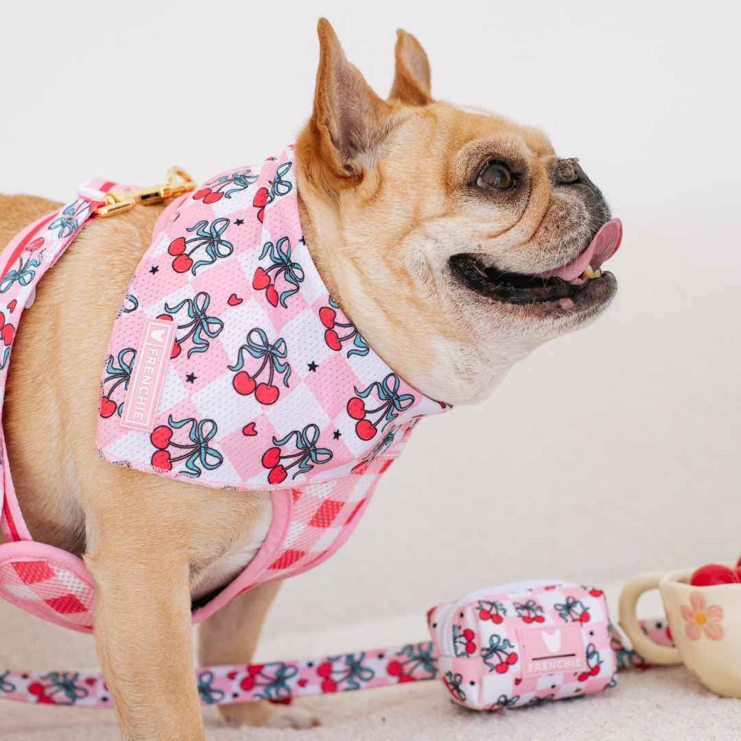 Frenchie Cooling Bandana - Cherries Red