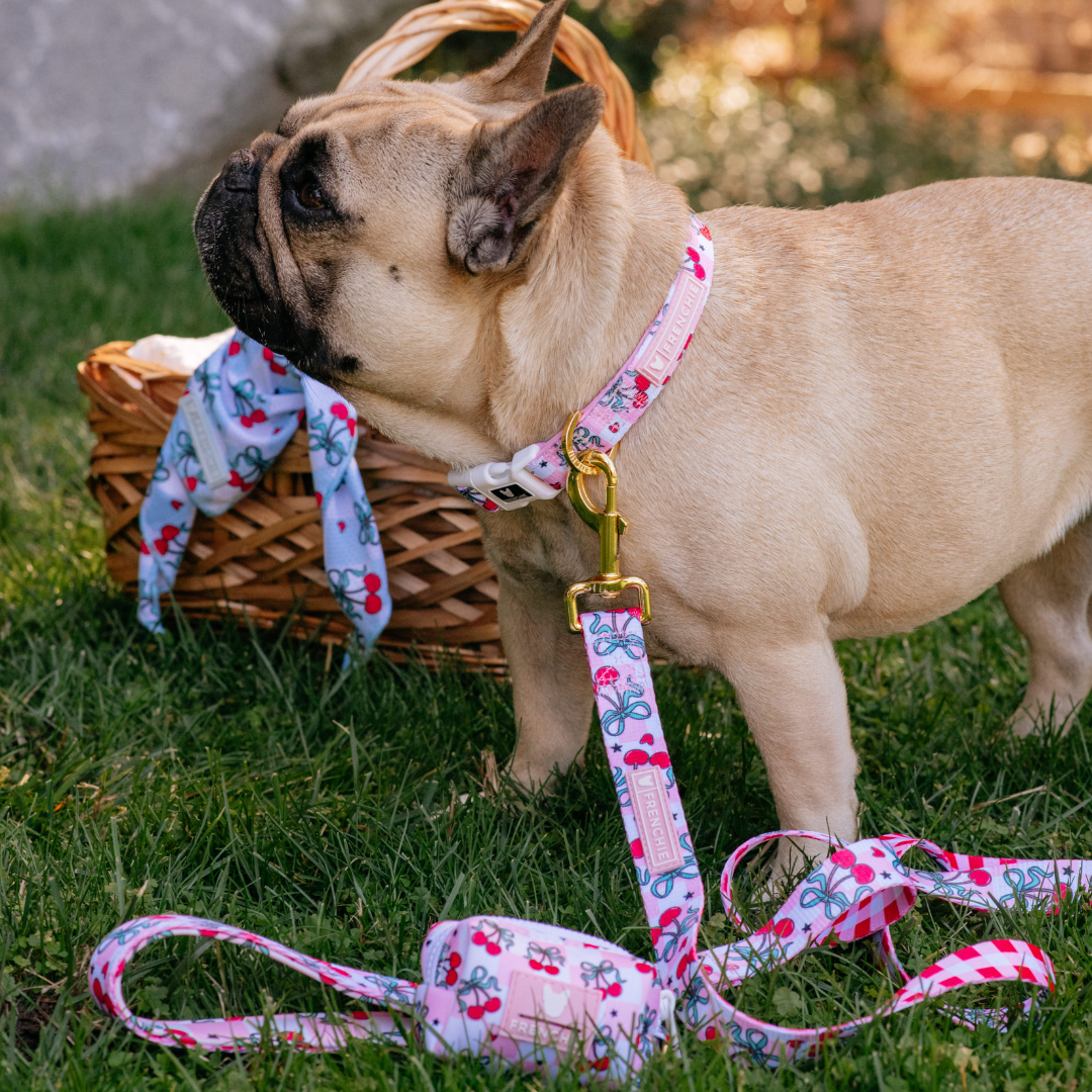 Frenchie Comfort Leash - Cherries Red