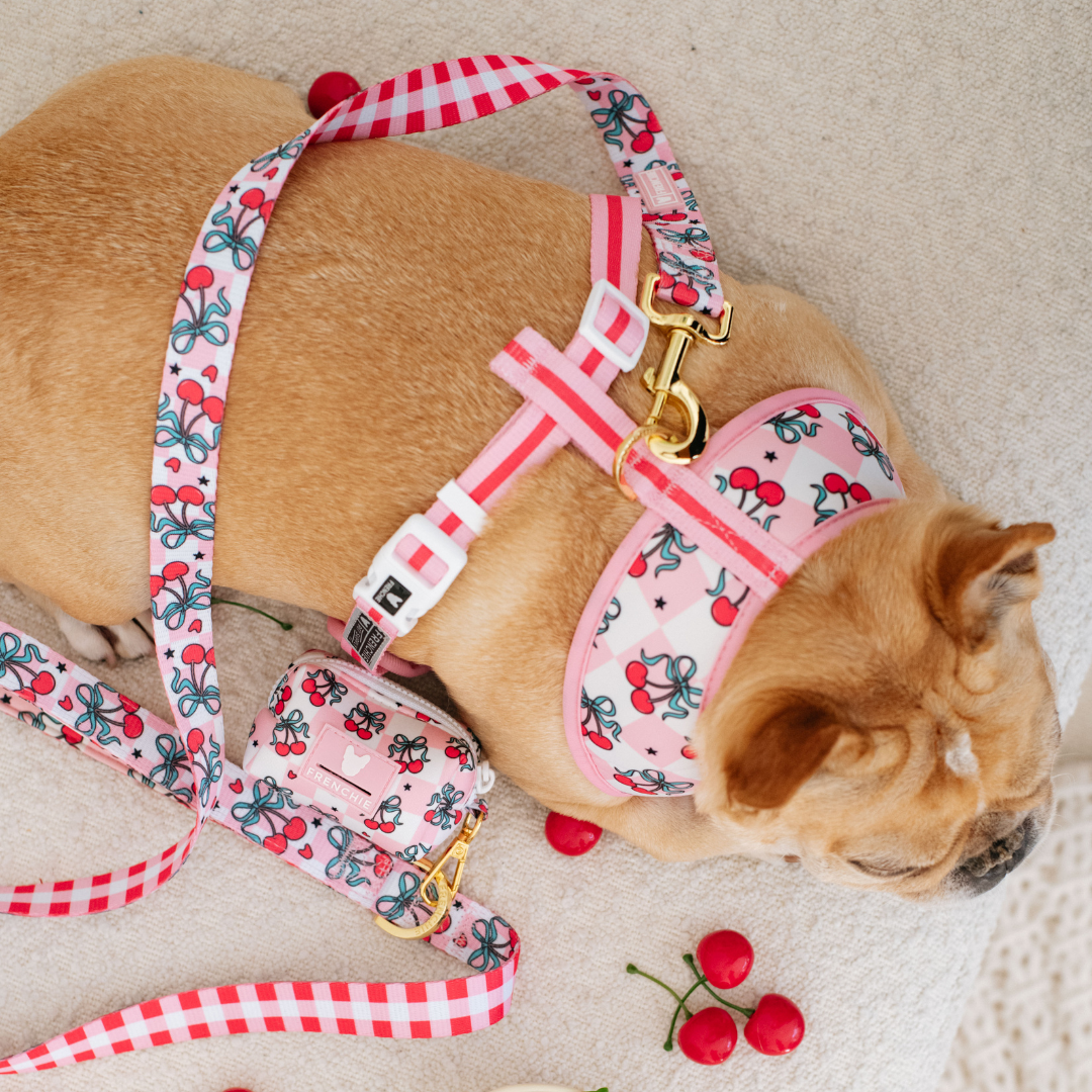 Frenchie Comfort Leash - Cherries Red