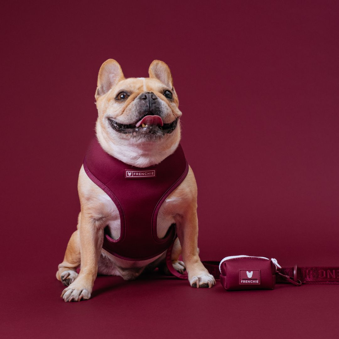Frenchie Poo Bag Holder - Solid Ruby