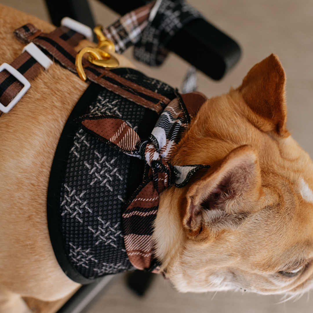 Frenchie Cooling Bandana - Cocoa Plaid