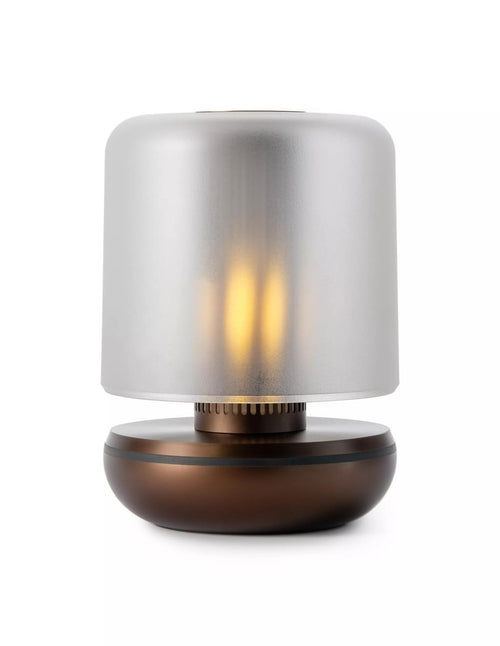 Firefly Table Light Bronze Frosted