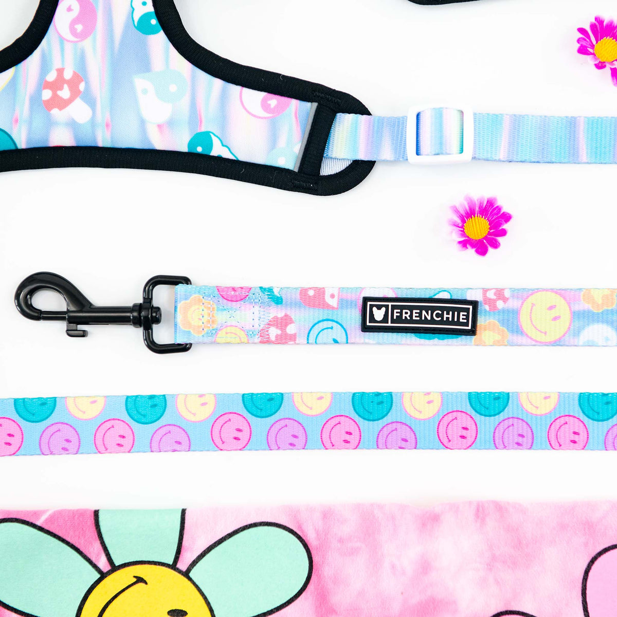 Frenchie Comfort Leash - Good Vibes