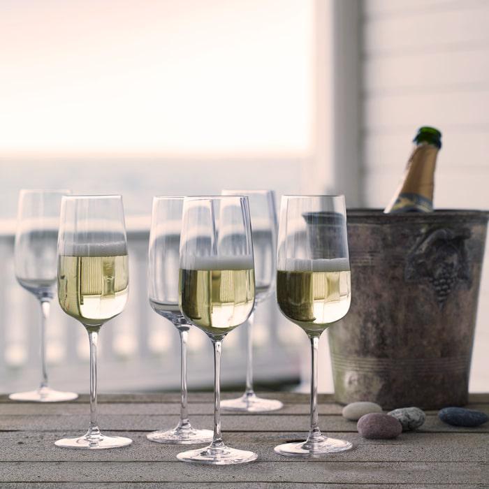 Holmegaard Bouquet Champagne Glass, Clear, 9.8 Oz, 6 Pcs.