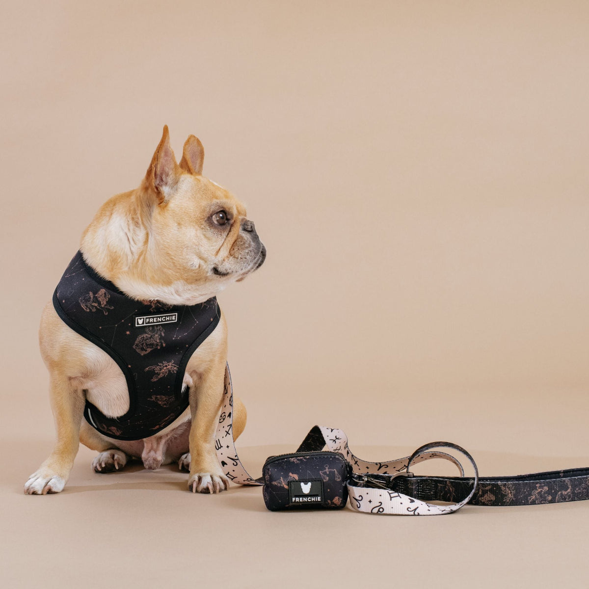 Frenchie Comfort Leash - Horoscope