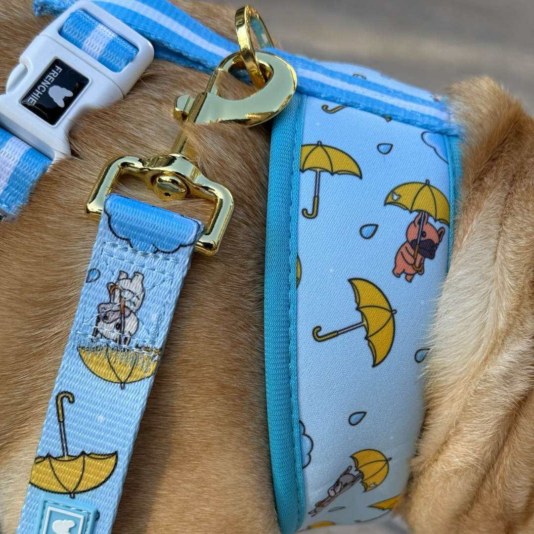Frenchie Duo Reversible Harness - It's Raining Frenchies
