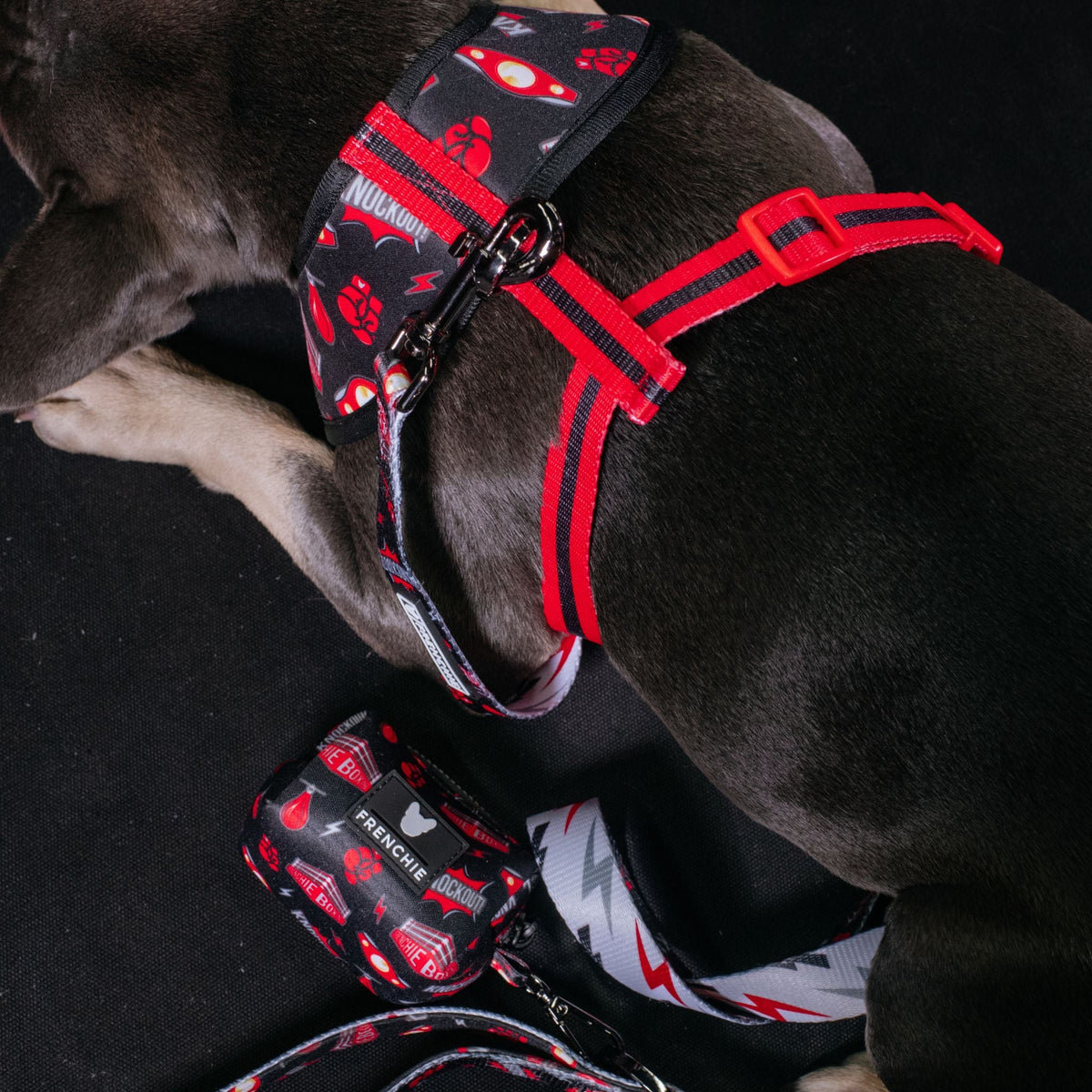 Frenchie Duo Reversible Harness - Knockout
