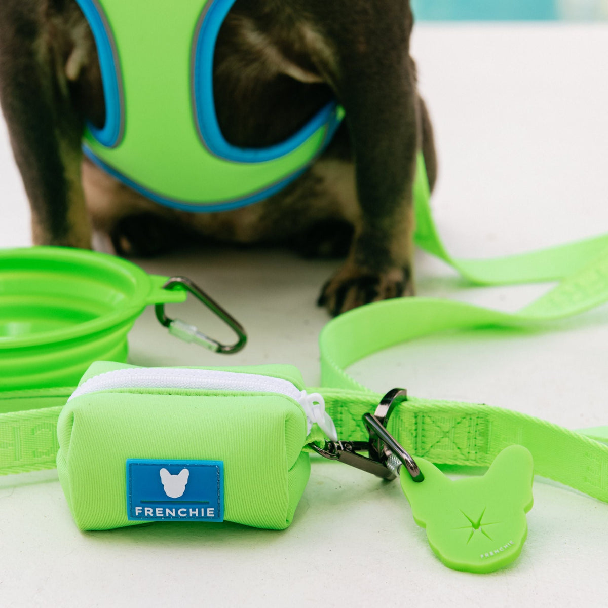 Frenchie Comfort Leash - Neon Green
