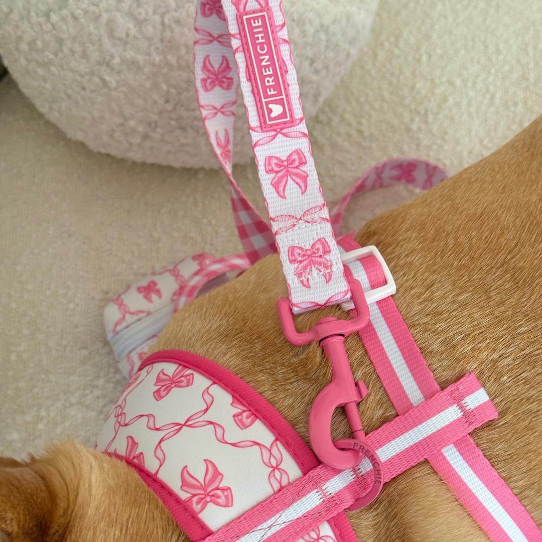 Frenchie Comfort Leash - Pink Bows