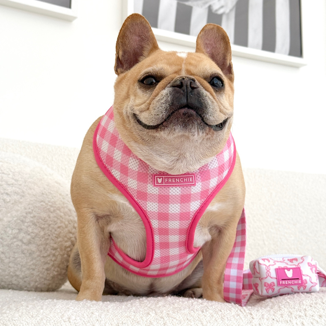 Frenchie Poo Bag Holder - Pink Bows