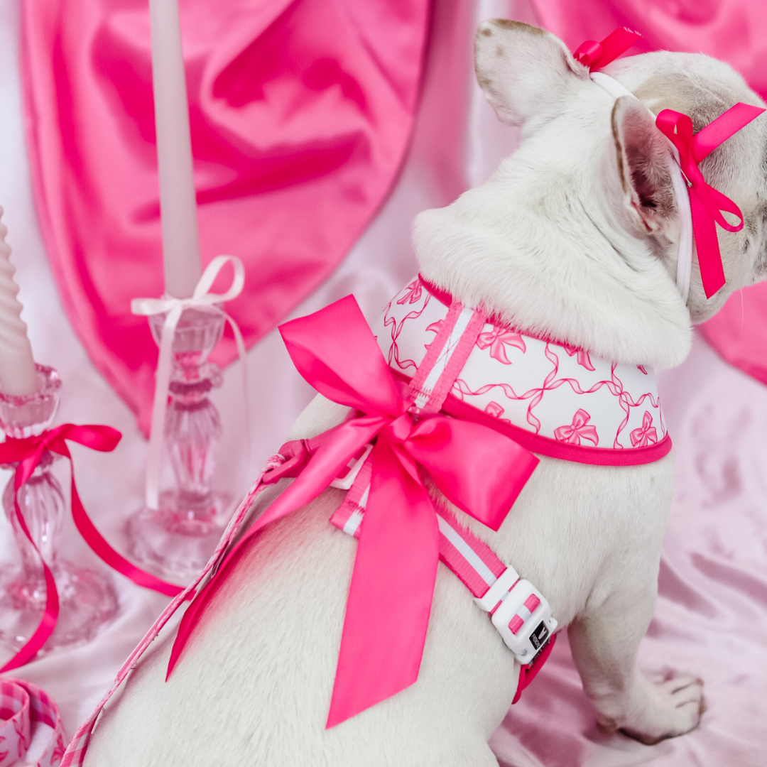 Frenchie Duo Reversible Harness - Pink Bows