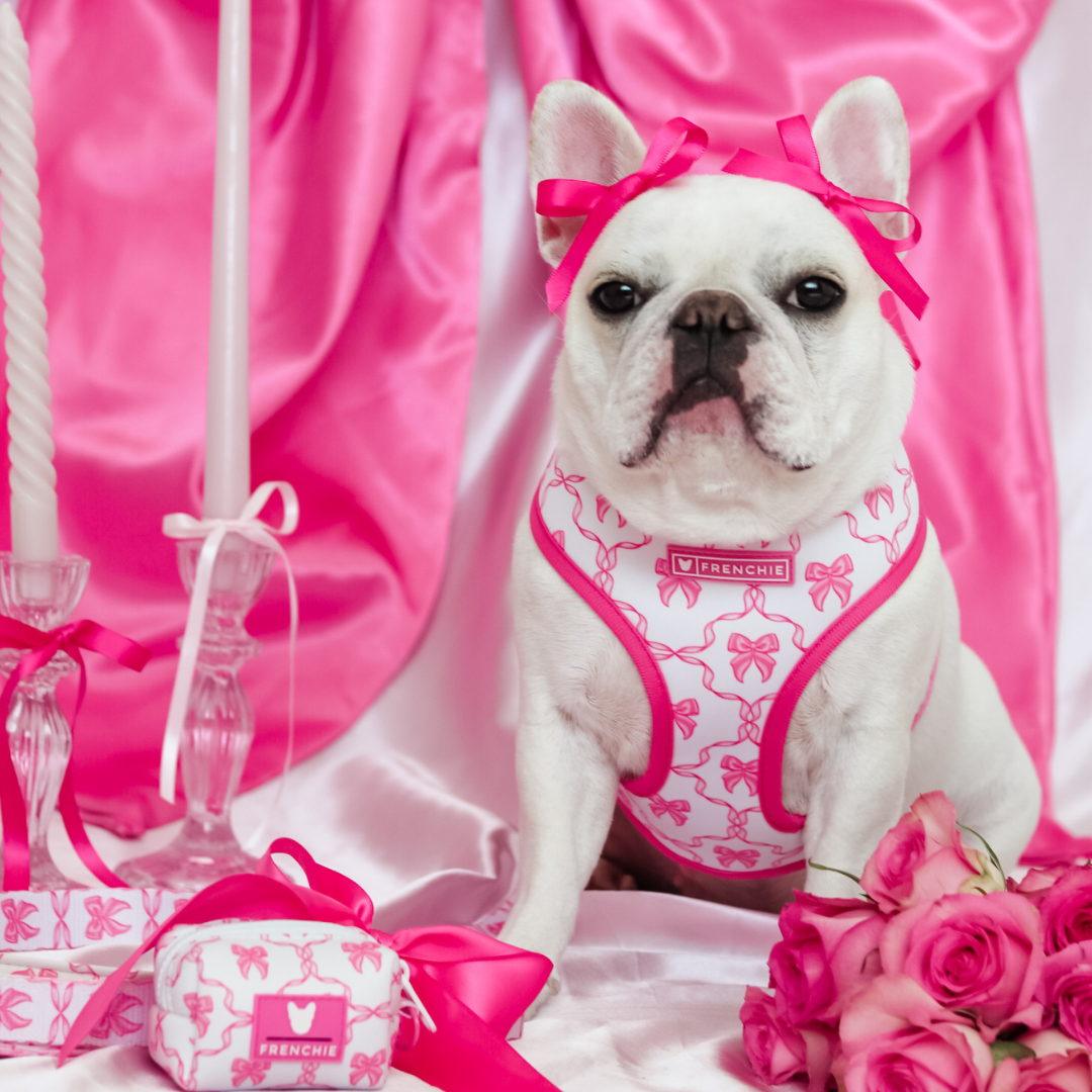 Frenchie Poo Bag Holder - Pink Bows