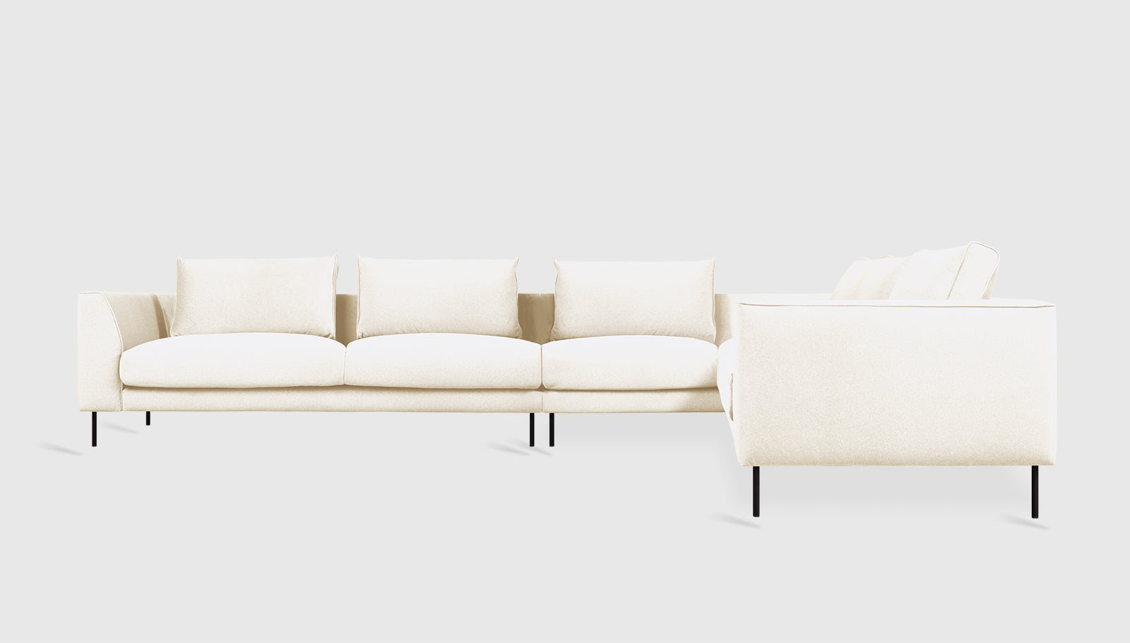 Merino Cream / Black / Right Facing