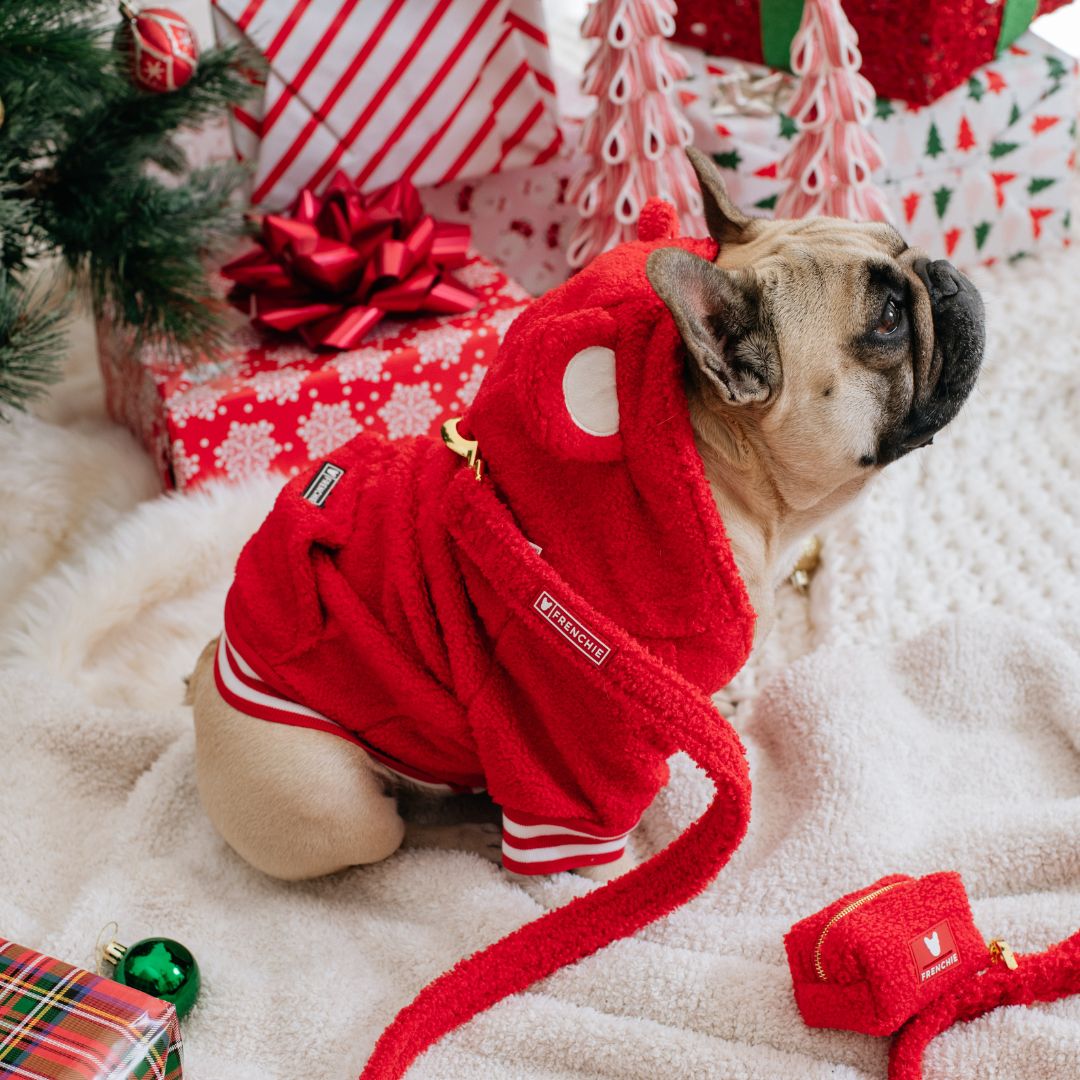 Frenchie Dog Hoodie - Teddy Red