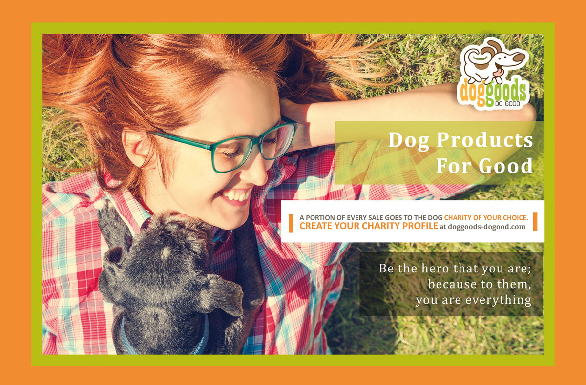 Dog Leash Fanny Pack (The Everything Leash) by DogGoods ™
