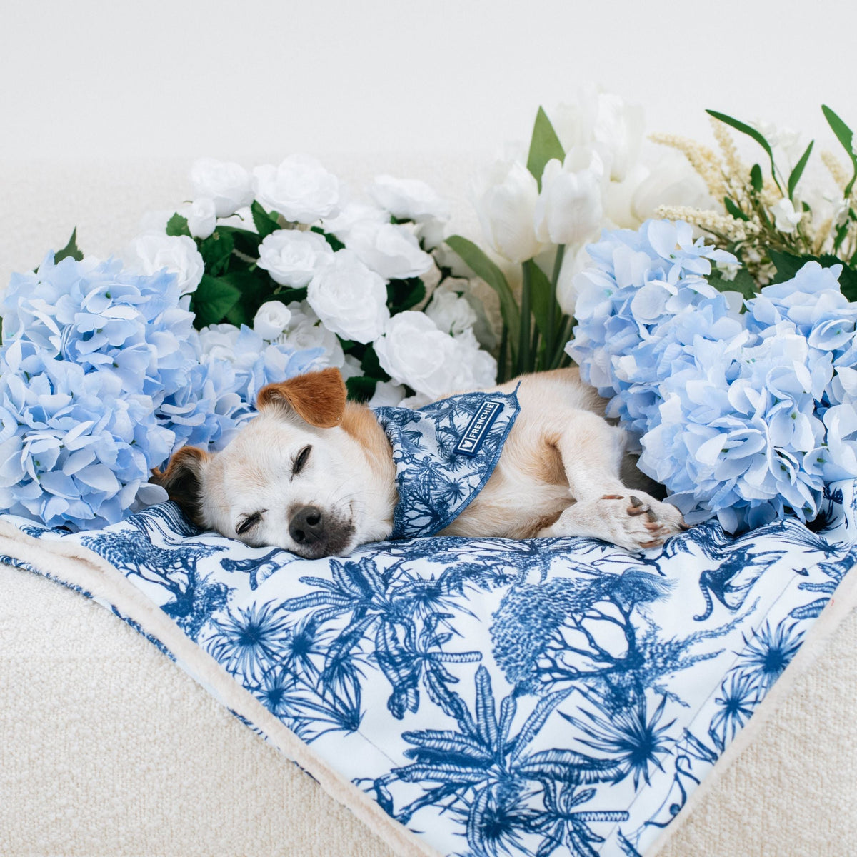 Frenchie Cooling Bandana - Toile- Blue