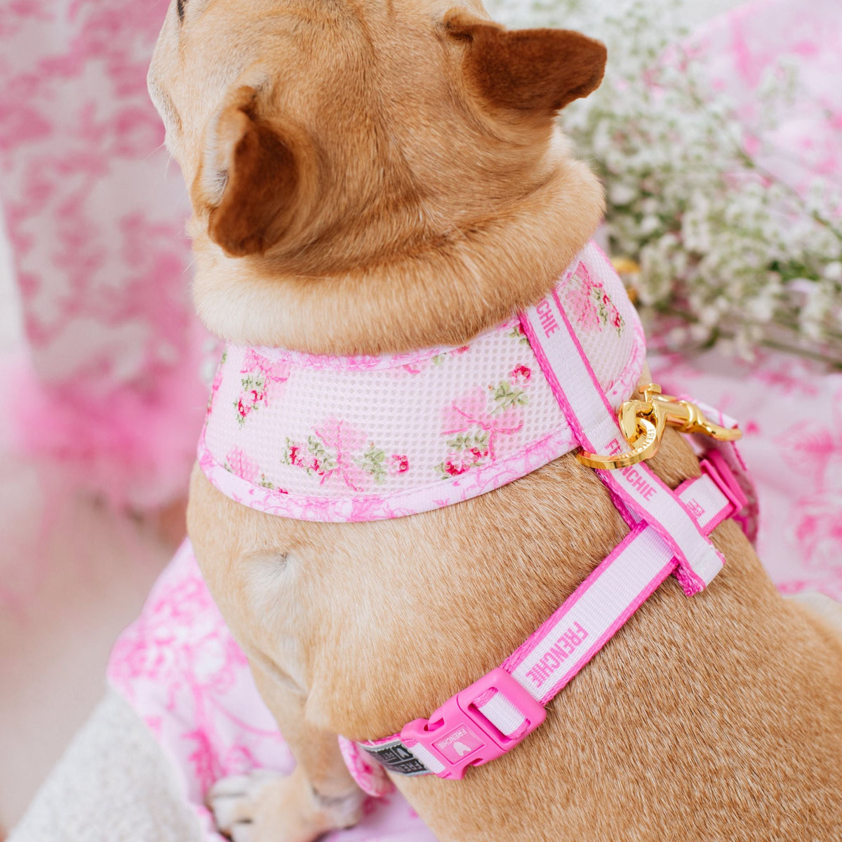 Frenchie Duo Reversible Harness - Toile- Pink