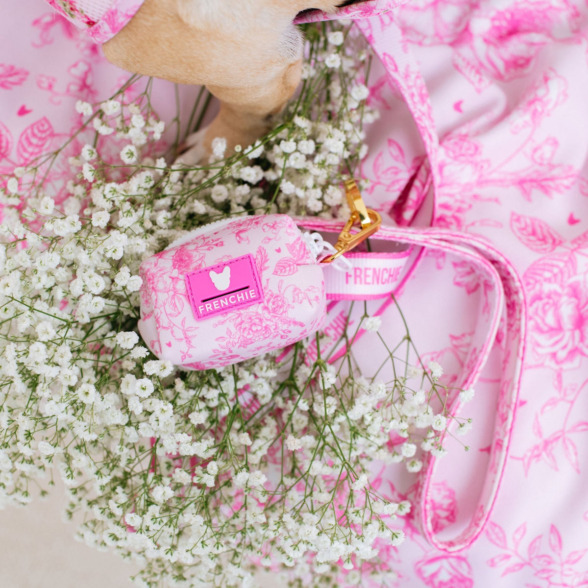 Frenchie Poo Bag Holder - Toile- Pink