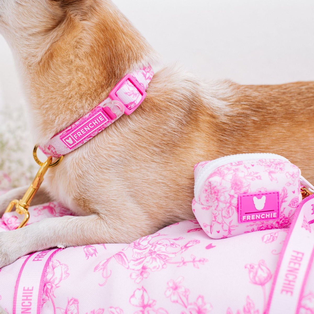 Frenchie Poo Bag Holder - Toile- Pink