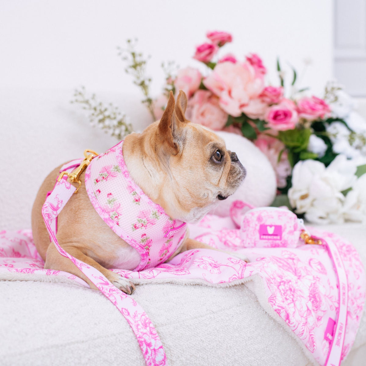 Frenchie Duo Reversible Harness - Toile- Pink
