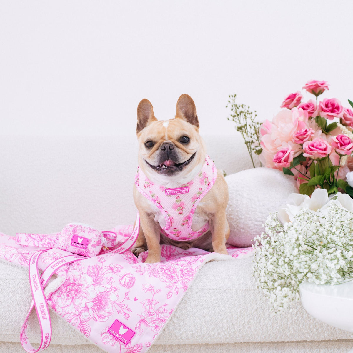 Frenchie Duo Reversible Harness - Toile- Pink
