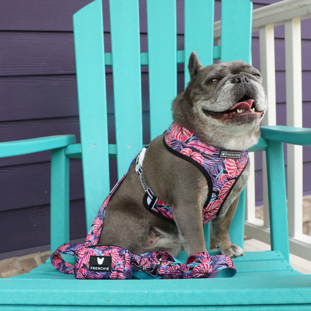 Frenchie Poo Bag Holder - Tropical Palms