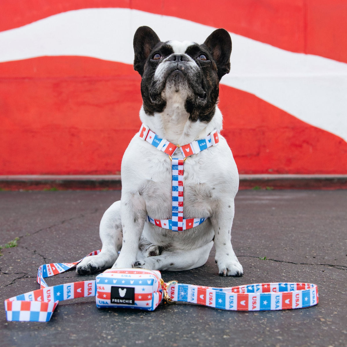 Frenchie Comfort Leash - USA