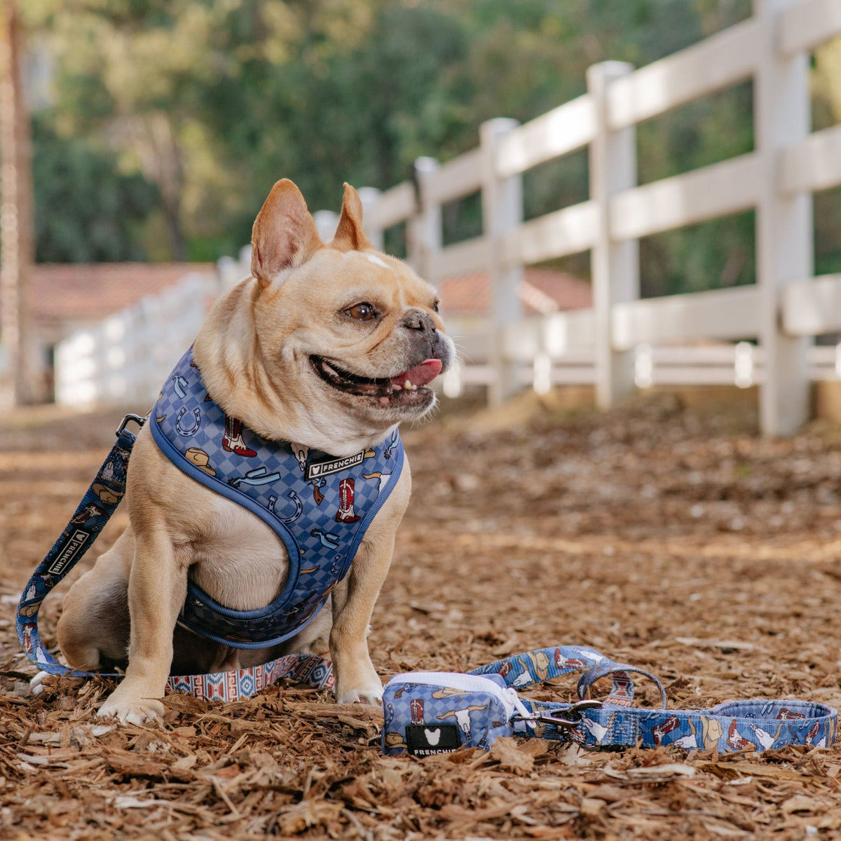 Frenchie Comfort Leash - Wild West- Blue