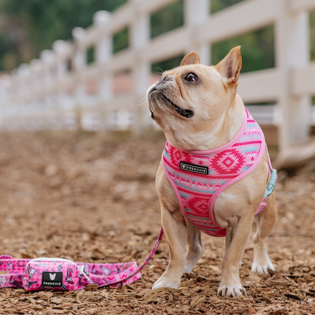 Frenchie Poo Bag Holder - Wild West- Pink