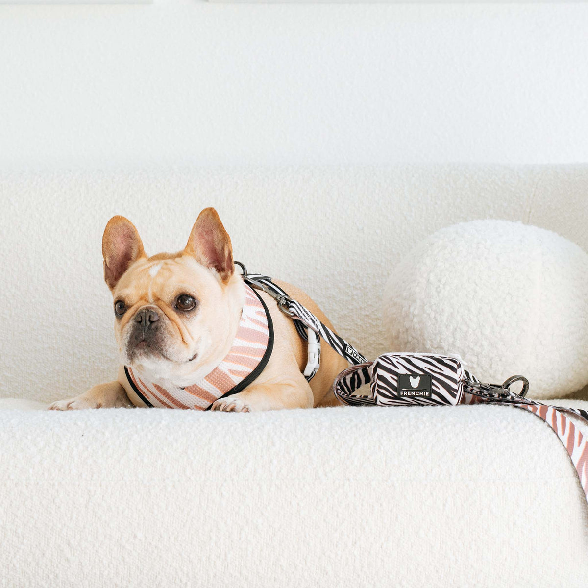Frenchie Poo Bag Holder - Zebra