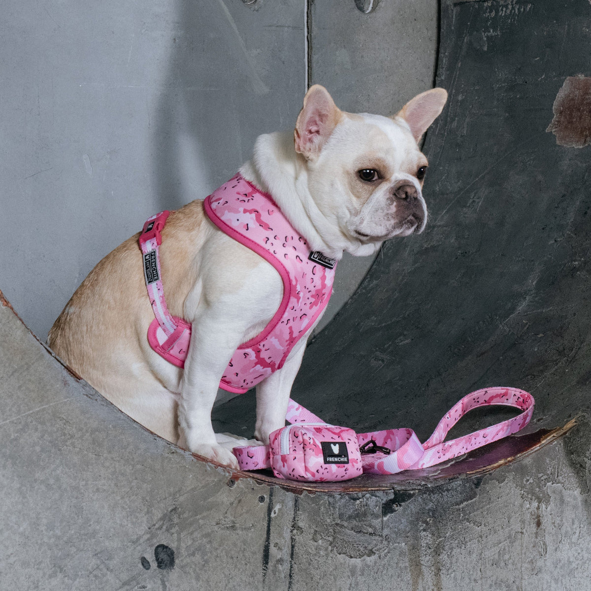 Frenchie Poo Bag Holder - Desert Camo (Pink)