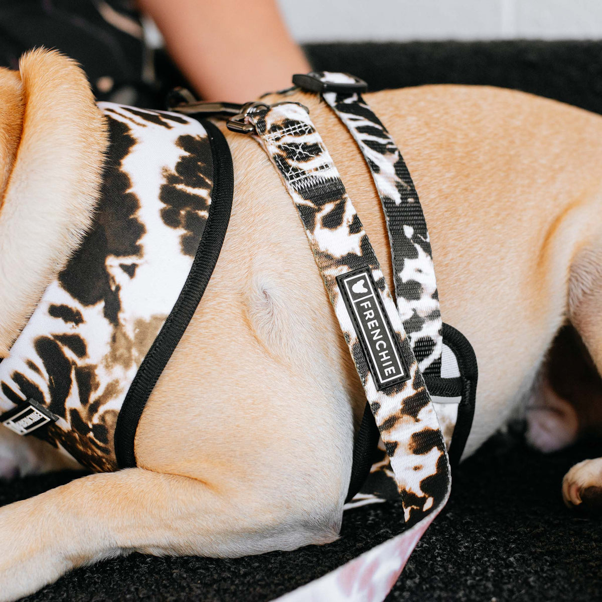 Frenchie Comfort Leash - Earthy Tie Dye