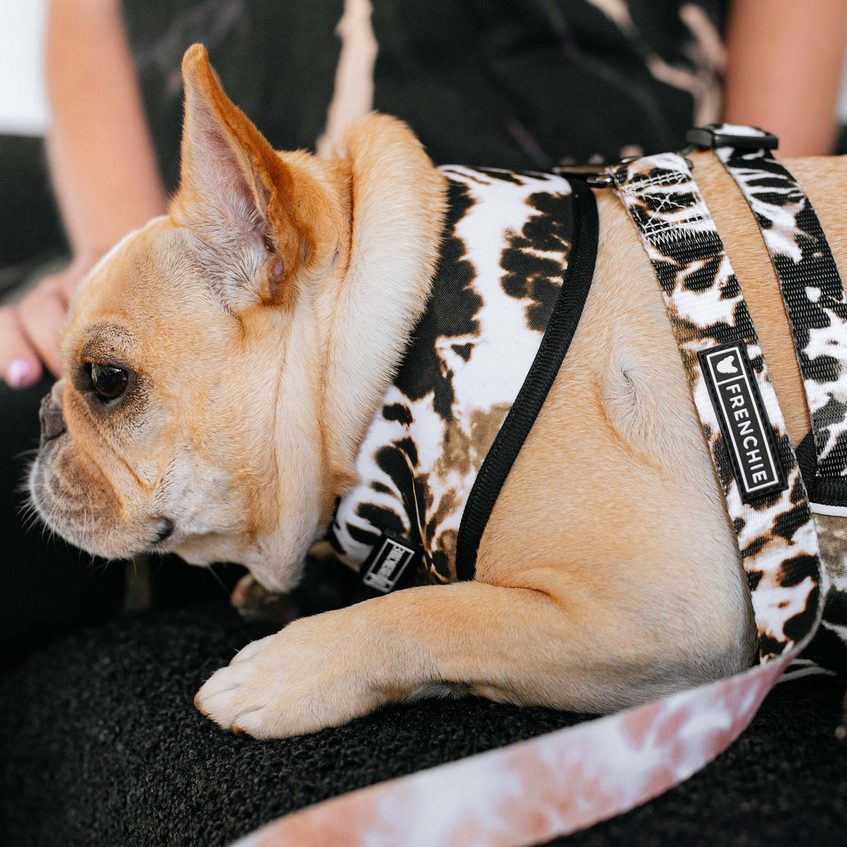 Frenchie Comfort Leash - Earthy Tie Dye