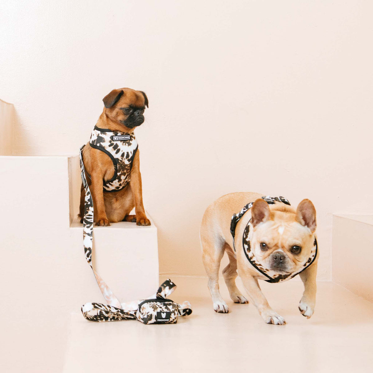 Frenchie Comfort Leash - Earthy Tie Dye