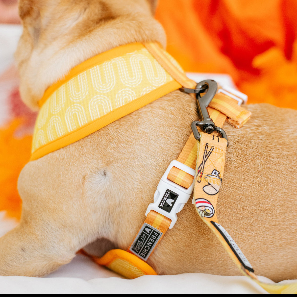 Frenchie Duo Reversible Harness - Frenchie Takeout