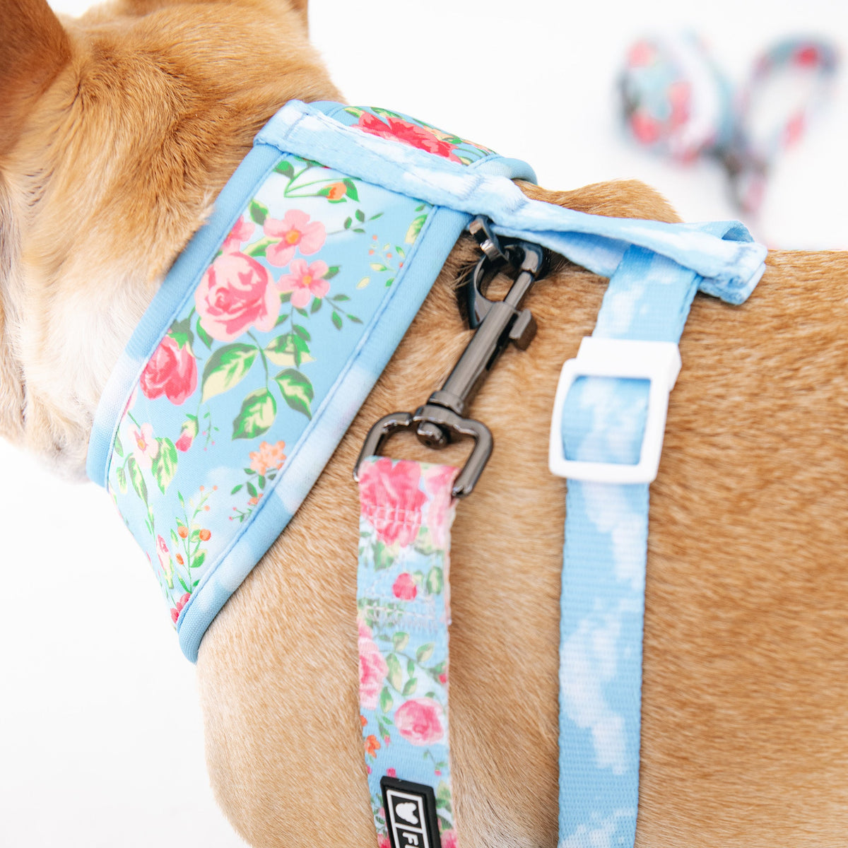 Frenchie Duo Reversible Harness - Secret Garden