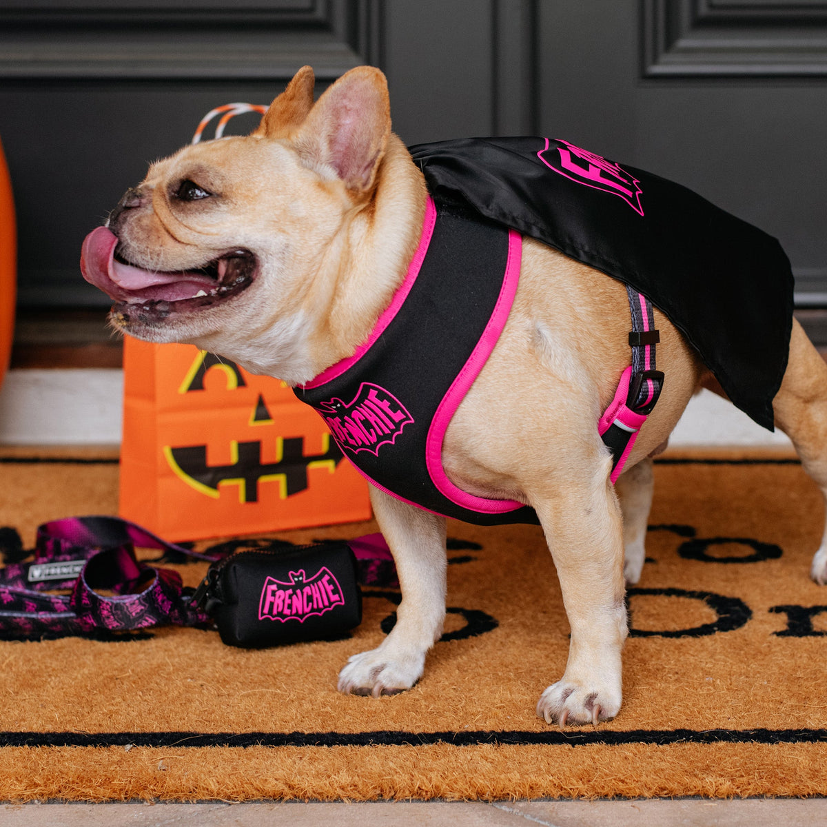 Frenchie Poo Bag Holder - Super Pig (Pink)